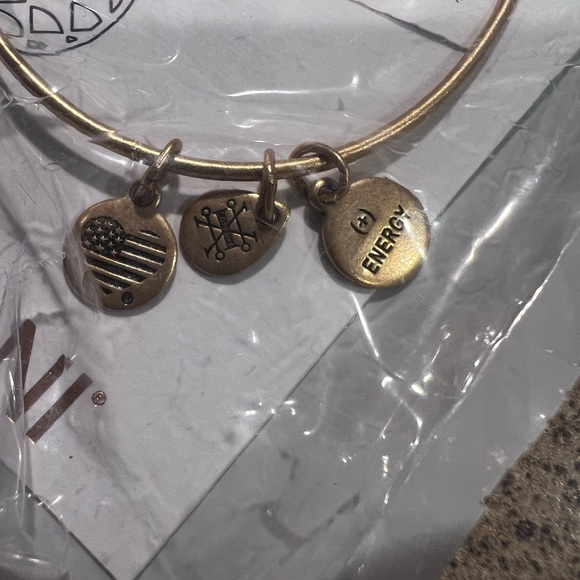 New Alex and Ani PINEAPPLE III Expandable Wire Bracelet Rafaelian Goldtone - Picture 3 of 5